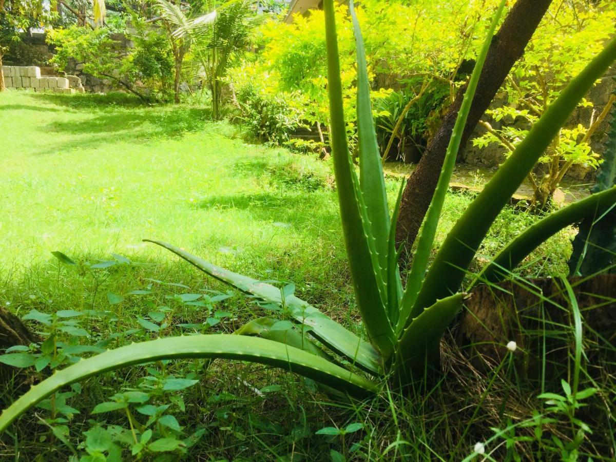 Ganesh House Ayurveda Homestay Kovalam Esterno foto